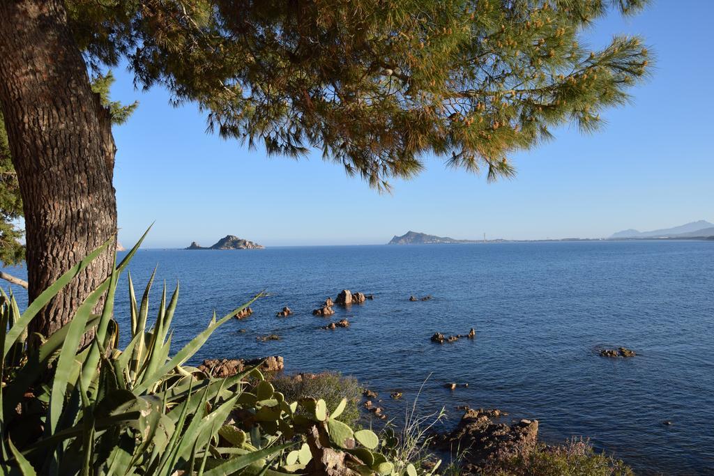 Appartamenti Da Vincenza Santa Maria Navarrese Exteriör bild