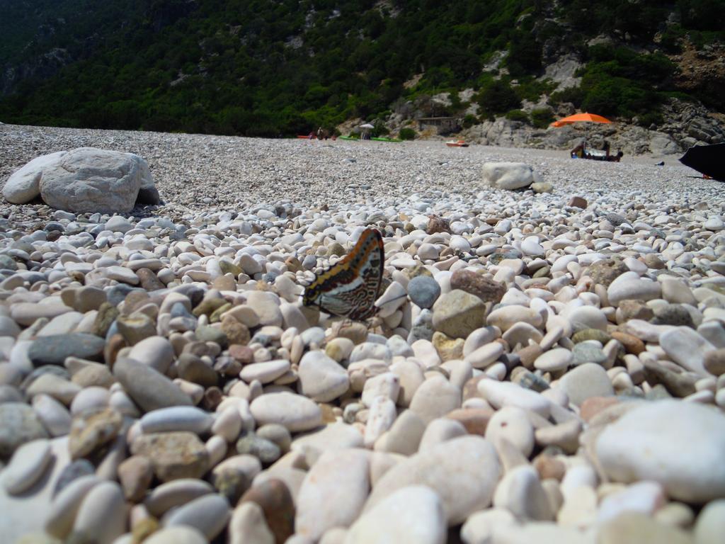 Appartamenti Da Vincenza Santa Maria Navarrese Exteriör bild